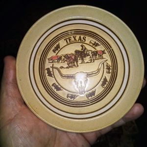 Vintage Texas Souvenir Plate